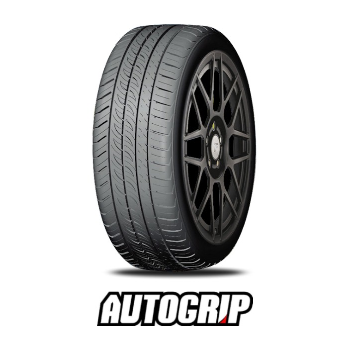 245/40R17 95W AUTOGRIP P308PLUS XL
